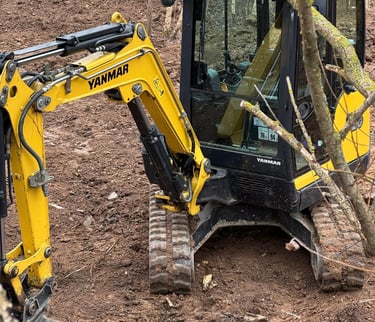 senu sklypo valymas, krumu valymas, sklypo valymas