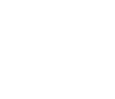Decorative graphic element