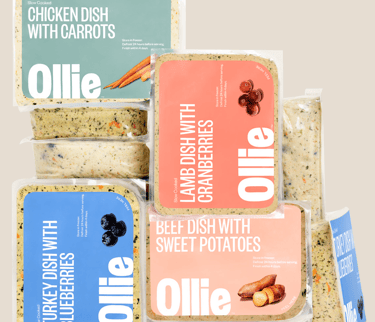 Ollie Turkey Recipe dog food
