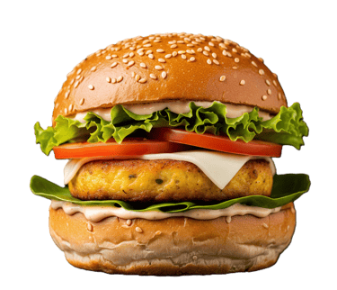 Paneer Burger from PremiYum Foods!