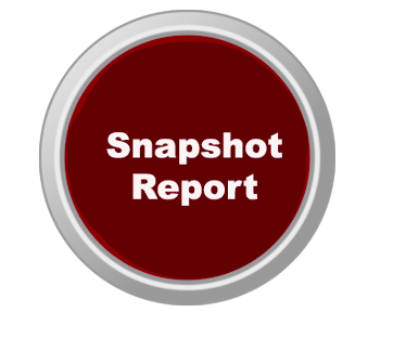 Snapshot Report