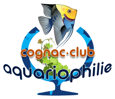 logo aquariophilie cognac - 16Print - partenaire