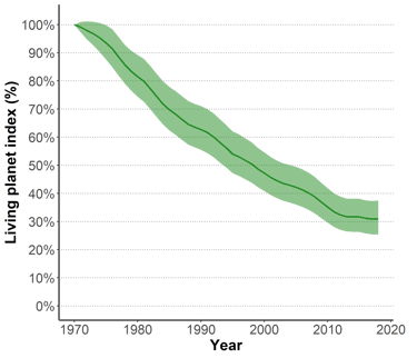 Graph of the evolution of the living planet index