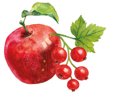 ein roter Apfel und eine Johannisbeere