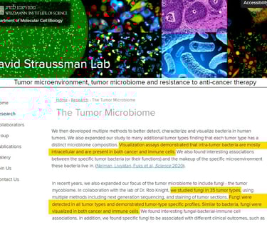 Ravid Straussman - Tumour-associated microbiome
