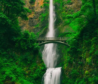 Water: The Flow State of Mastery -7th newsletter edition