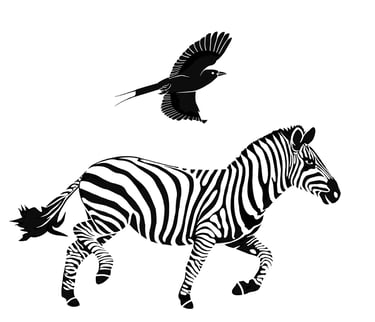 Zebra illustration