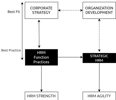 HRM Auditing & Assessment