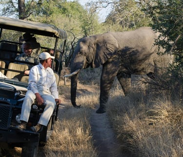 Tourists on a Safari in South Africa