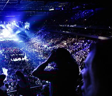 Renginių fotografavimas, įmonės renginių fotografija, konferencijų, įmonės vakarėlių fotografija Vilniuje