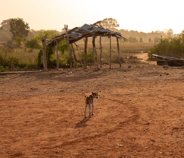 paysage sénégalais cassamance
