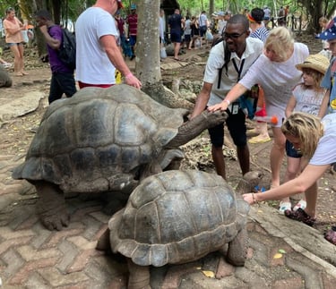 Experience the rare chance to connect with giant tortoises on our Prison Island Zanzibar tour a must-do activity in Zanzibar