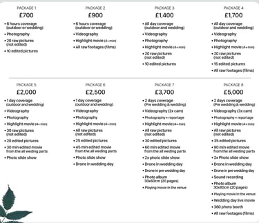 Fred Art Studio pricing charts for weddings