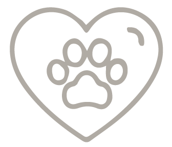 refuerzo positivo en mascotas