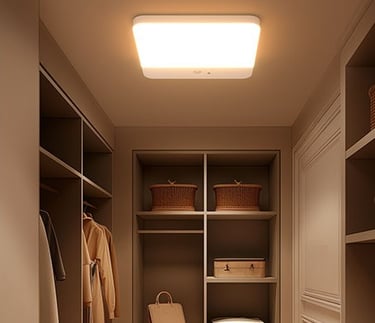 Ceiling Light Motion Sensor