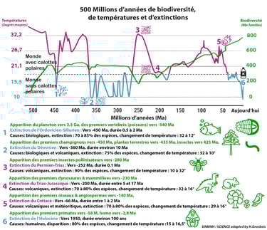 PESTICIDES BIODIVERSITÉ EXTINCTION MASSE INFOGRAPHIES