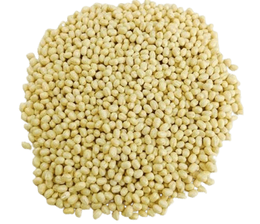 urad dal trader