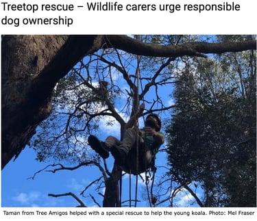 Treetop Rescue - Wildlife Carers Urge Responsible Dog Ownership