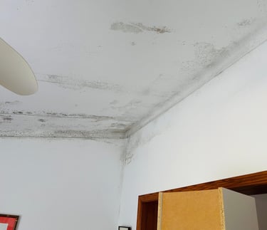Black mold growth spreading across a white room ceiling and corner due to water damage.