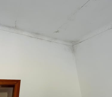 Black mold growth on white ceiling and wall corners indicating water damage and mildew issues.