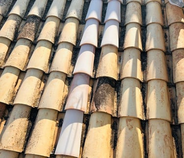 Professional roof restoration showing clean terracotta clay tiles vs weathered dirty tiles.