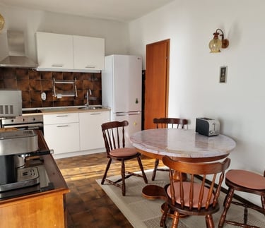Kitchen overview with full appliances and dining set, Easy Living, Lokva Rogoznica