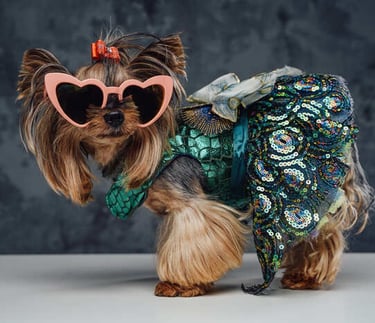 Un Yorkshire Terrier que lleva gafas rosas con forma de corazón y un vestido verde de lentejuelas