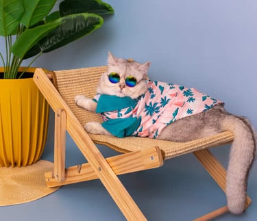 Un gato elegante con gafas de sol y camisa tropical, relajándose en una tumbona en miniatura.
