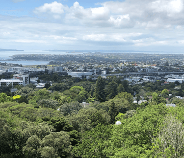 More details Newmarket from Maungawhau / Mount Eden looking northeast.