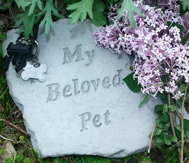 Pet Loss Support Memorial