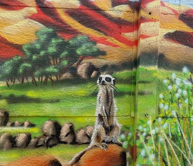 un graffiti de suricate dans la savane