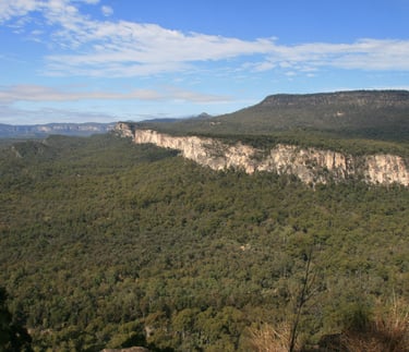 Carnarvon Gorge from Boolimba Bluff,Central Queensland 