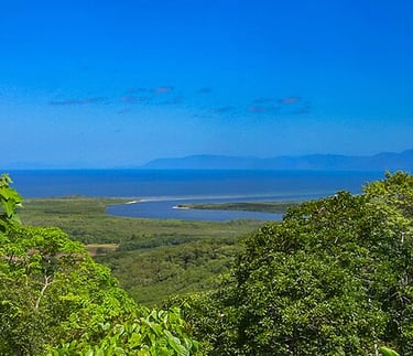 View from Daintree National Park, 2009