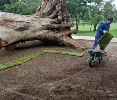 regularização ambiental