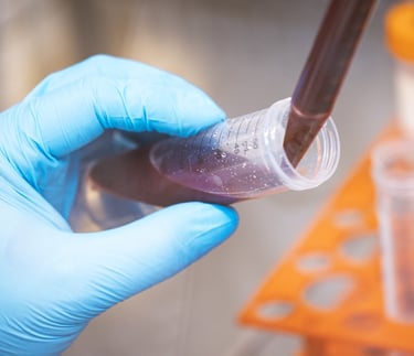 Human blood and cord blood from CTIBIOTECH