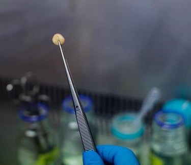 Ethically sourced human tissue for research from CTIBIOTECH biobank biosourcing