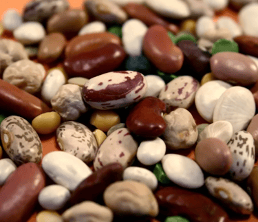 dry beans