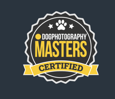Certificate of completion for a course and specialization in pet photo, featuring skills