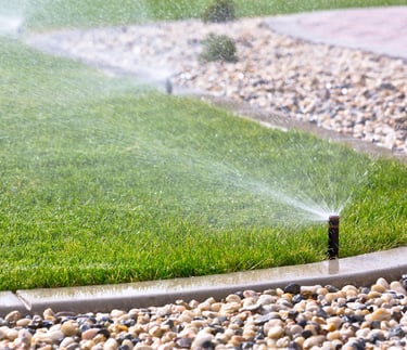 Automatic pop-up sprinkler head watering a lush green lawn near a stone garden border.