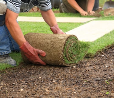 new fresh sod being professionally laid on topsoil in toronto