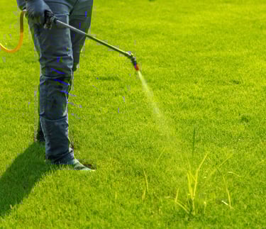 Professional lawn care technician applying liquid weed control spray to a bright green residential yard.