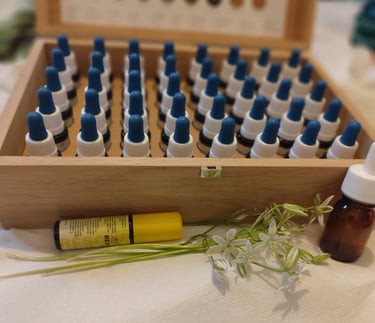 fleurs de bach Laura COTTING