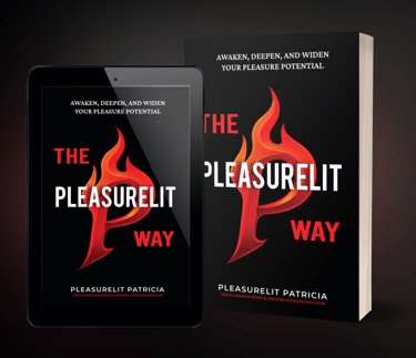 The Pleasurelit Way book cover