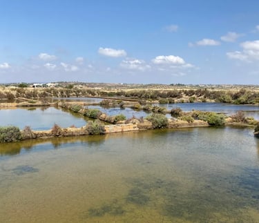 a river with a bridge and a bridge over it