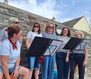 selkie-sea shanty gals from portaferry