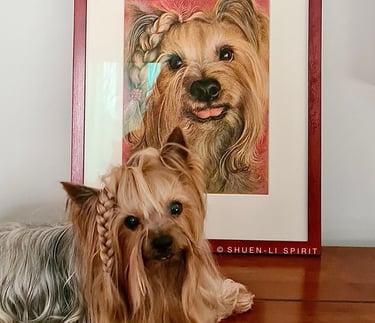 Pastel pet portrait, pastel commission, pet portrait artist, Shuen-Li Spirit, realistic dog portrait