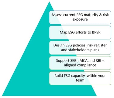 ESG and Sustainability Consulting