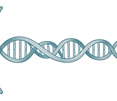DNA helix icon symbolizing generational connection and family heritage - PhotoMotion AI
