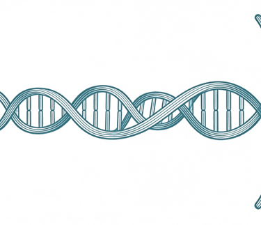 DNA helix icon and lineage connection - PhotoMotion AI