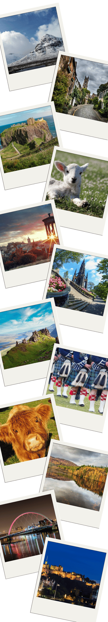 Polaroid pictures featuring different images